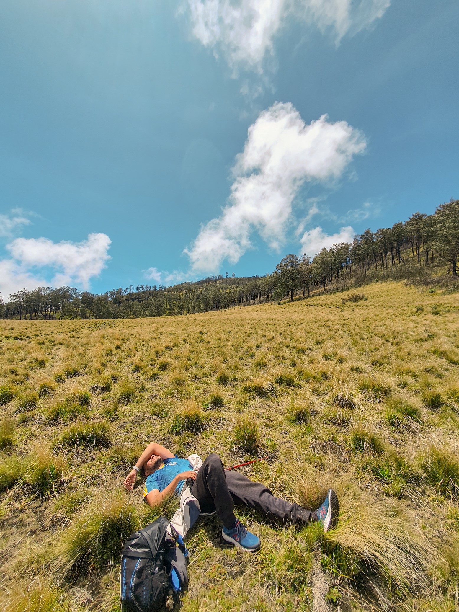 Mount Lawu Sacred Trail: Ancient Temples & Tea Heritage gallery 2