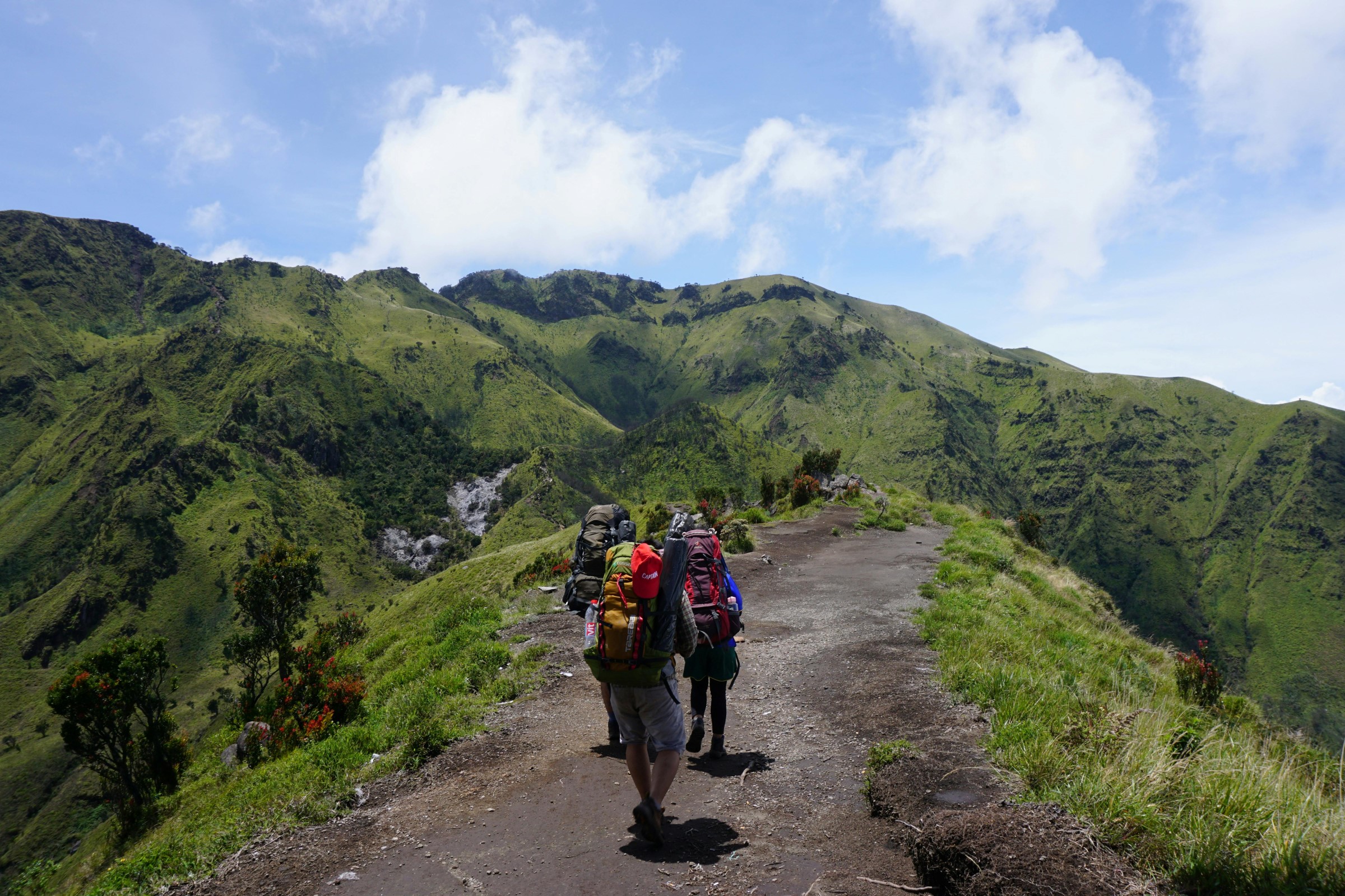 Mount Merbabu Summit: Hike & Hot Springs gallery 8