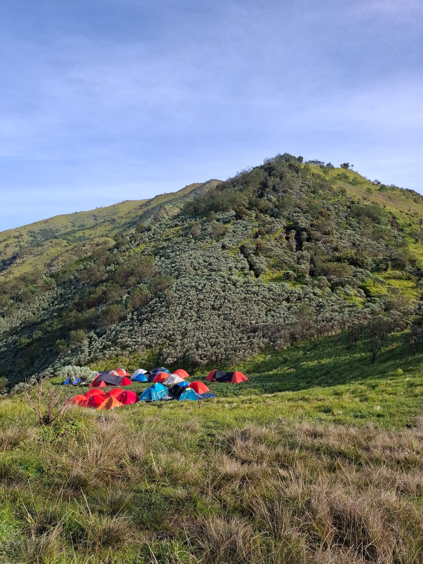 Mount Merbabu Summit: Hike & Hot Springs gallery 7