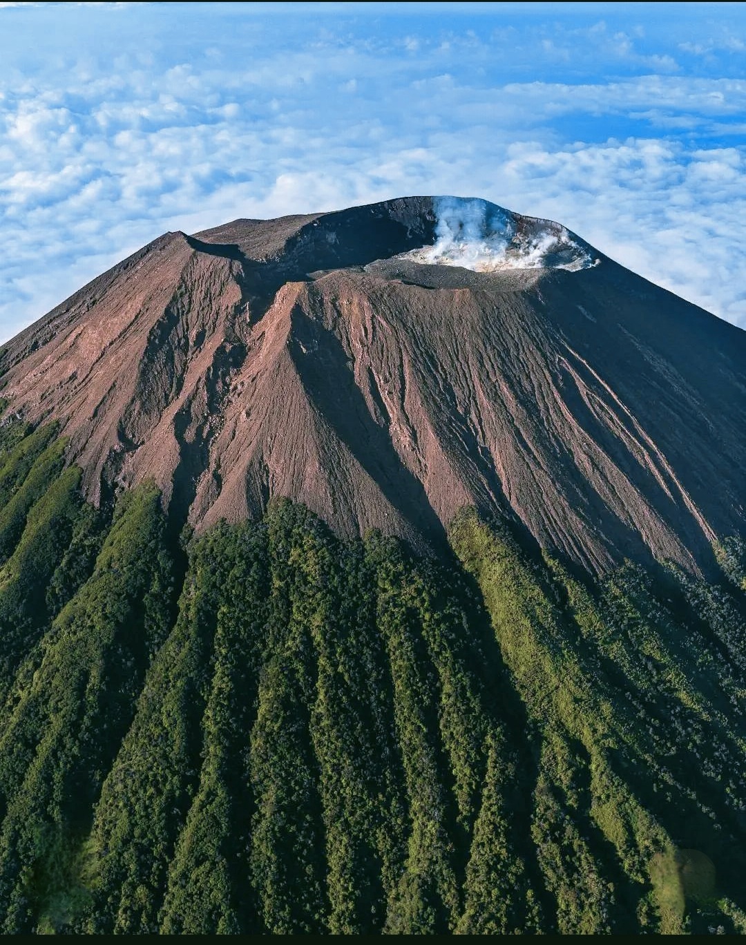 Mount Slamet Apex: The Roof of Java & Guci Hot Springs gallery 4