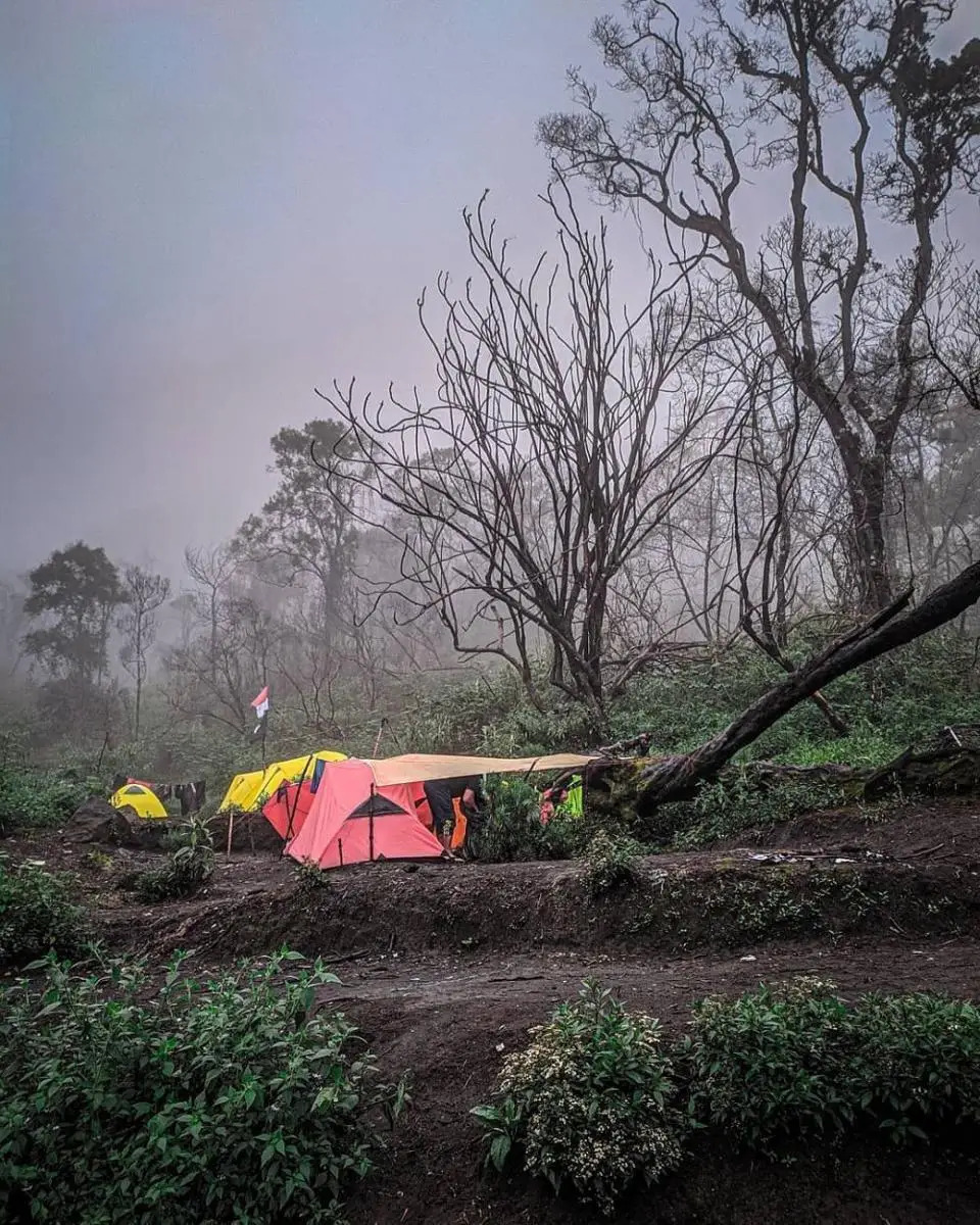 Mount Slamet Apex: The Roof of Java & Guci Hot Springs gallery 1