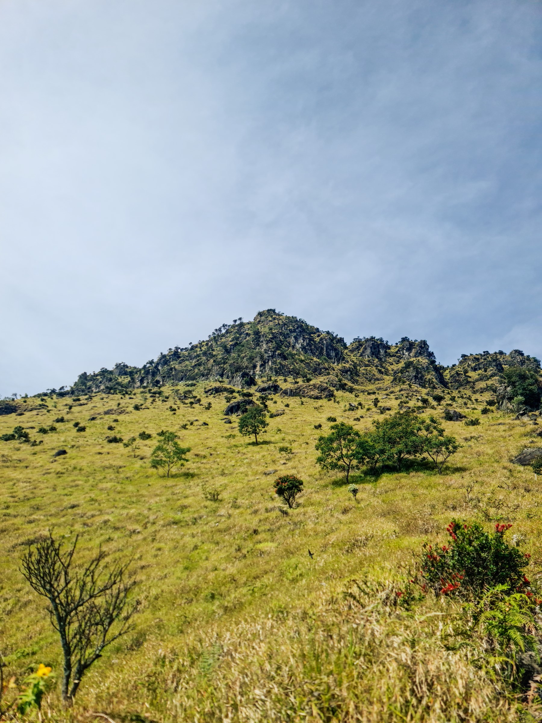 The Double “S” Expedition: Sumbing & Sindoro Traverse gallery 10