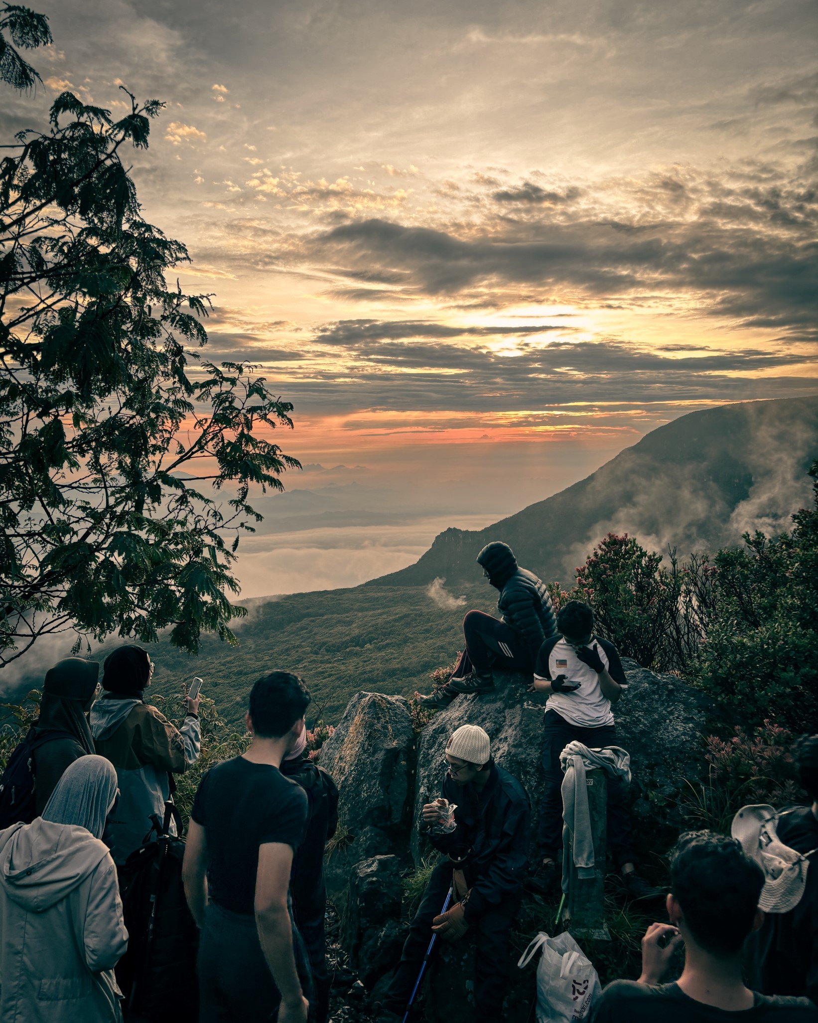 Mount Gede Trek: The Majestic Highland Journey gallery 1