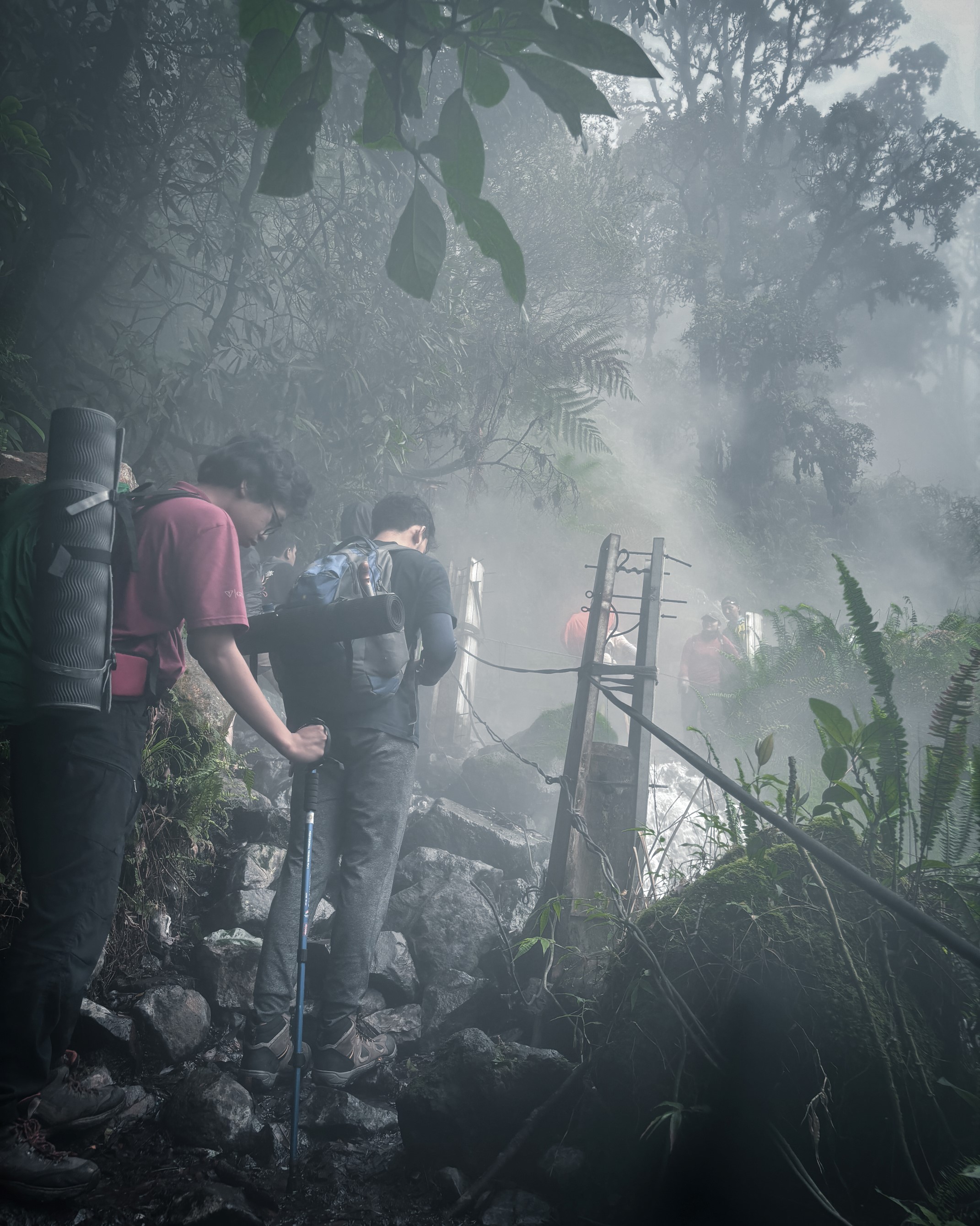 Mount Gede Trek: The Majestic Highland Journey gallery 3