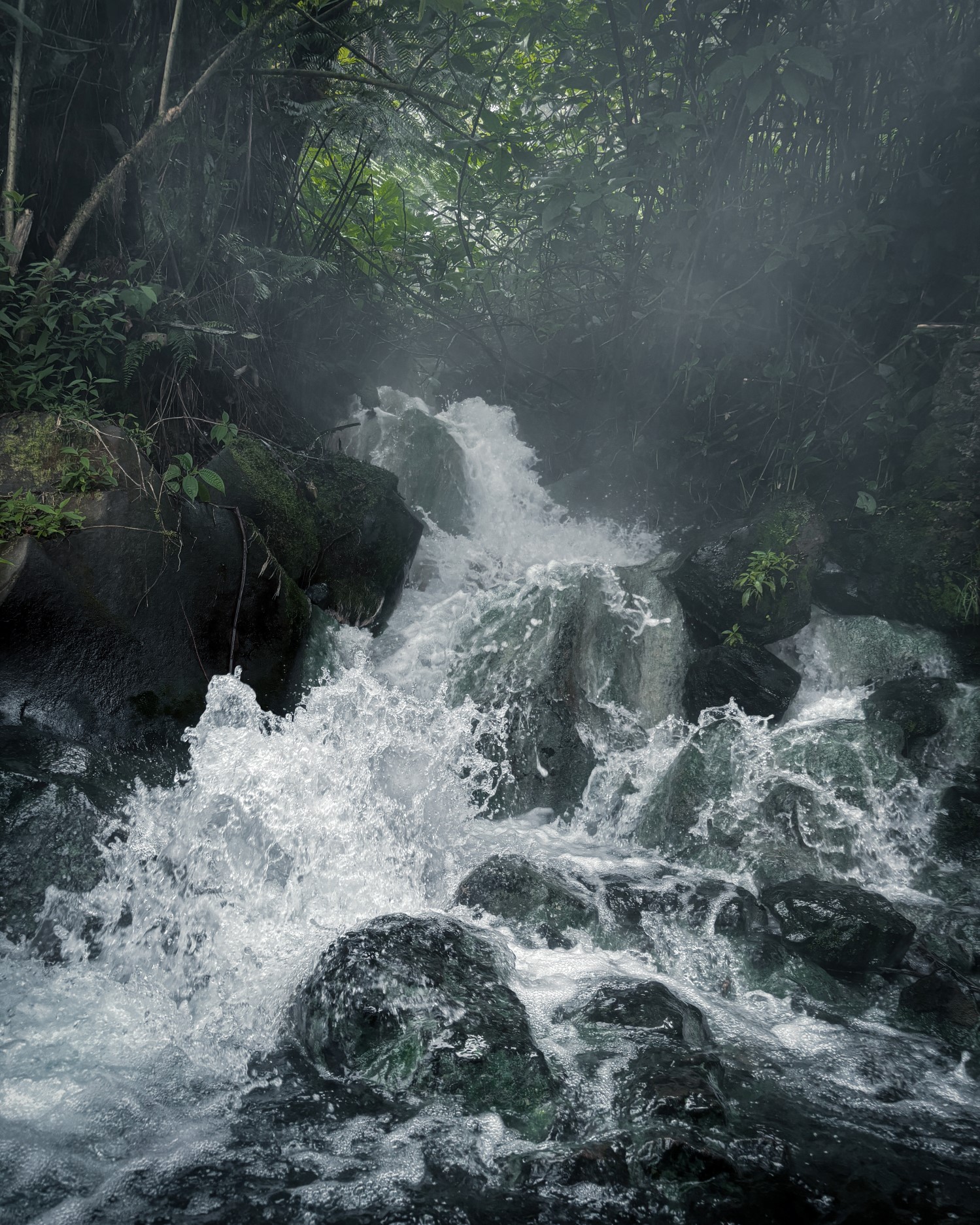 Mount Gede Trek: The Majestic Highland Journey gallery 4