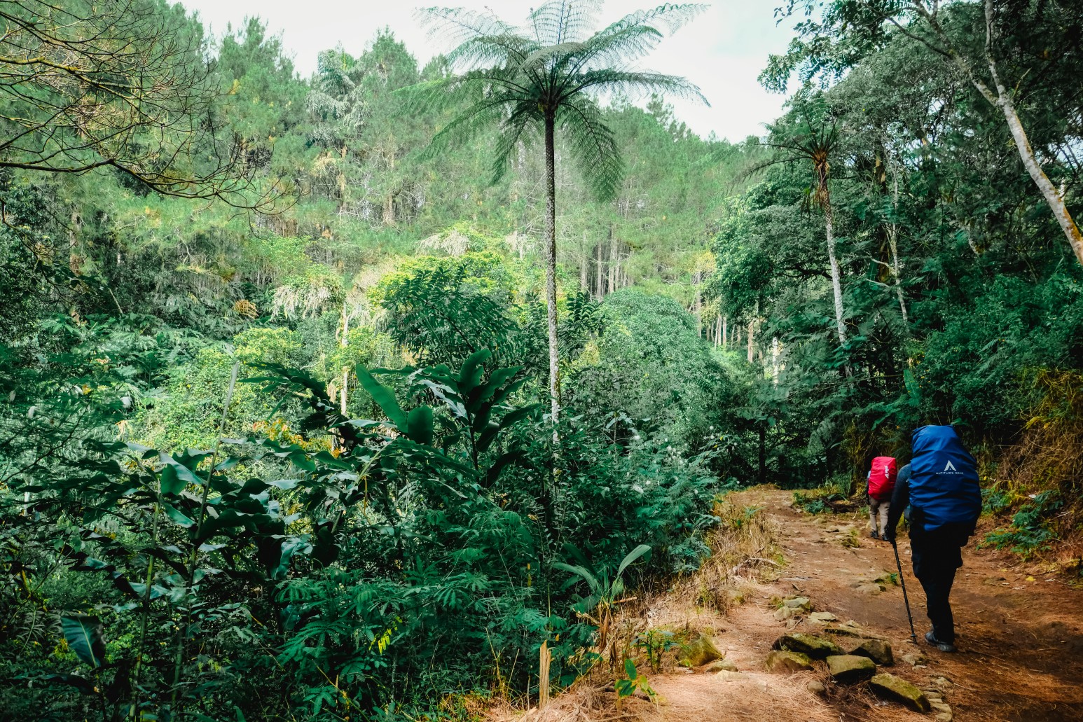 Mount Ciremai Heritage: West Java Peak & Natural Springs gallery 1
