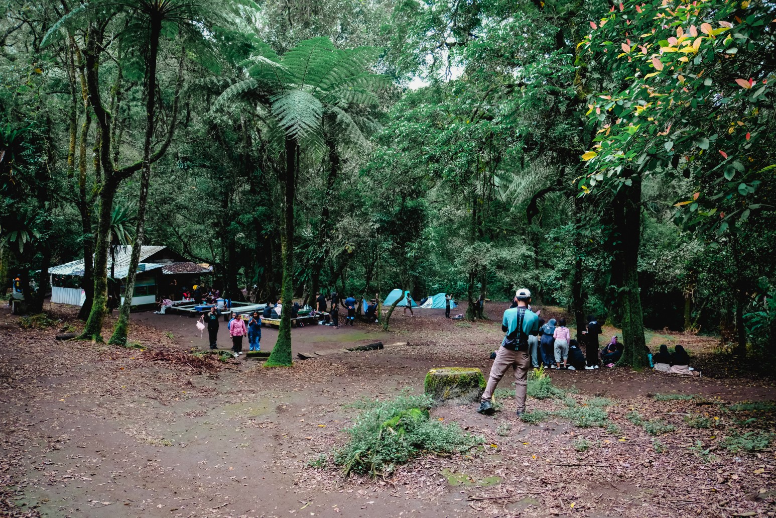 Mount Ciremai Heritage: West Java Peak & Natural Springs gallery 8