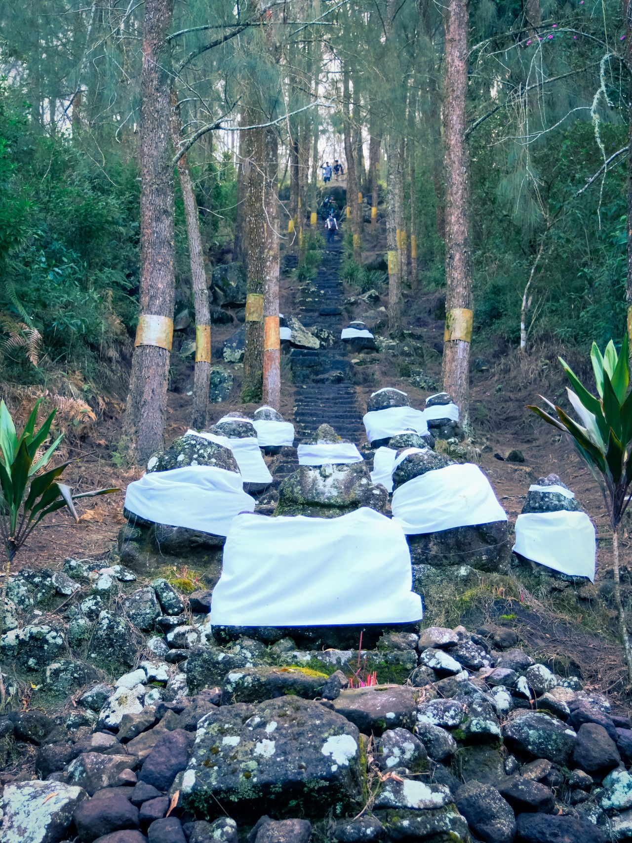 Mount Arjuno Sacred Peak: Ancient Shrines & Hot Springs gallery 4