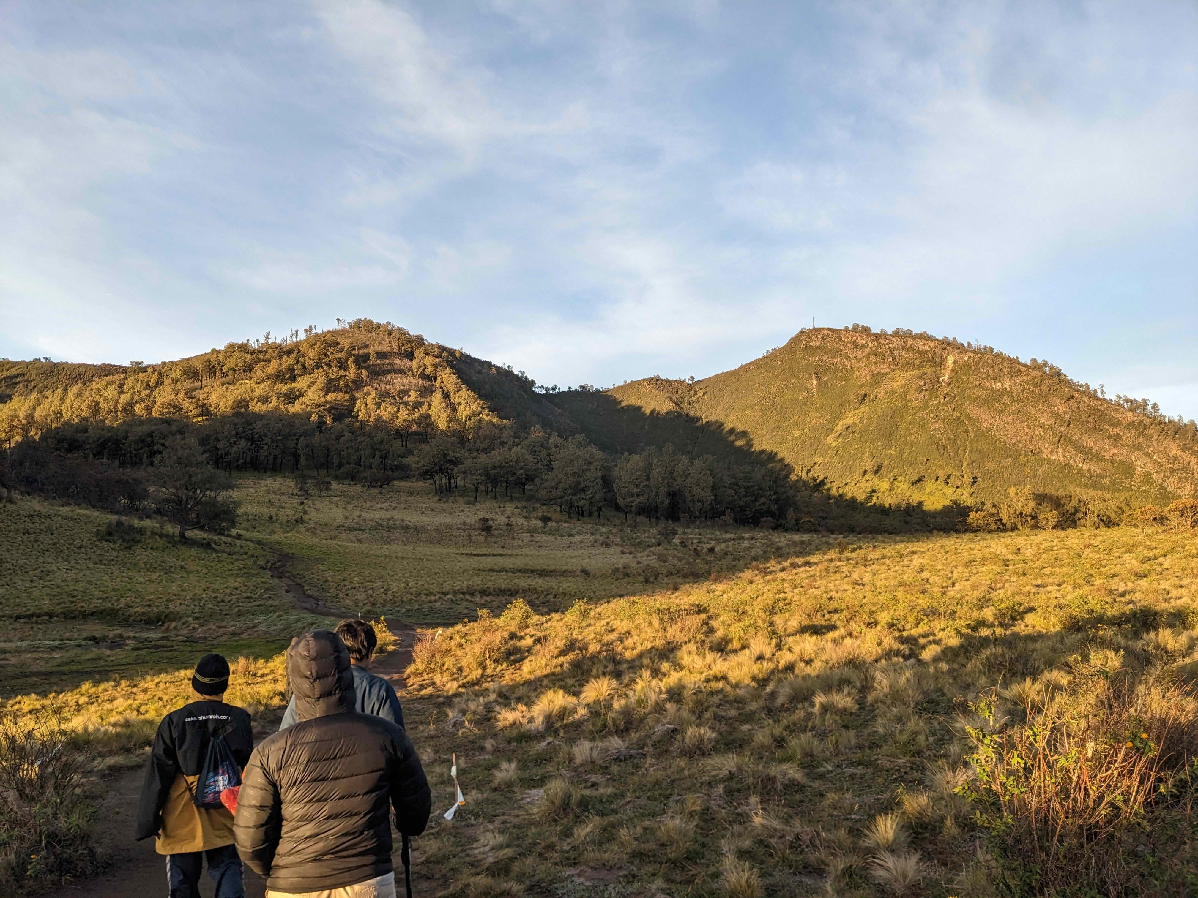 Mount Lawu Sacred Trail: Ancient Temples & Tea Heritage