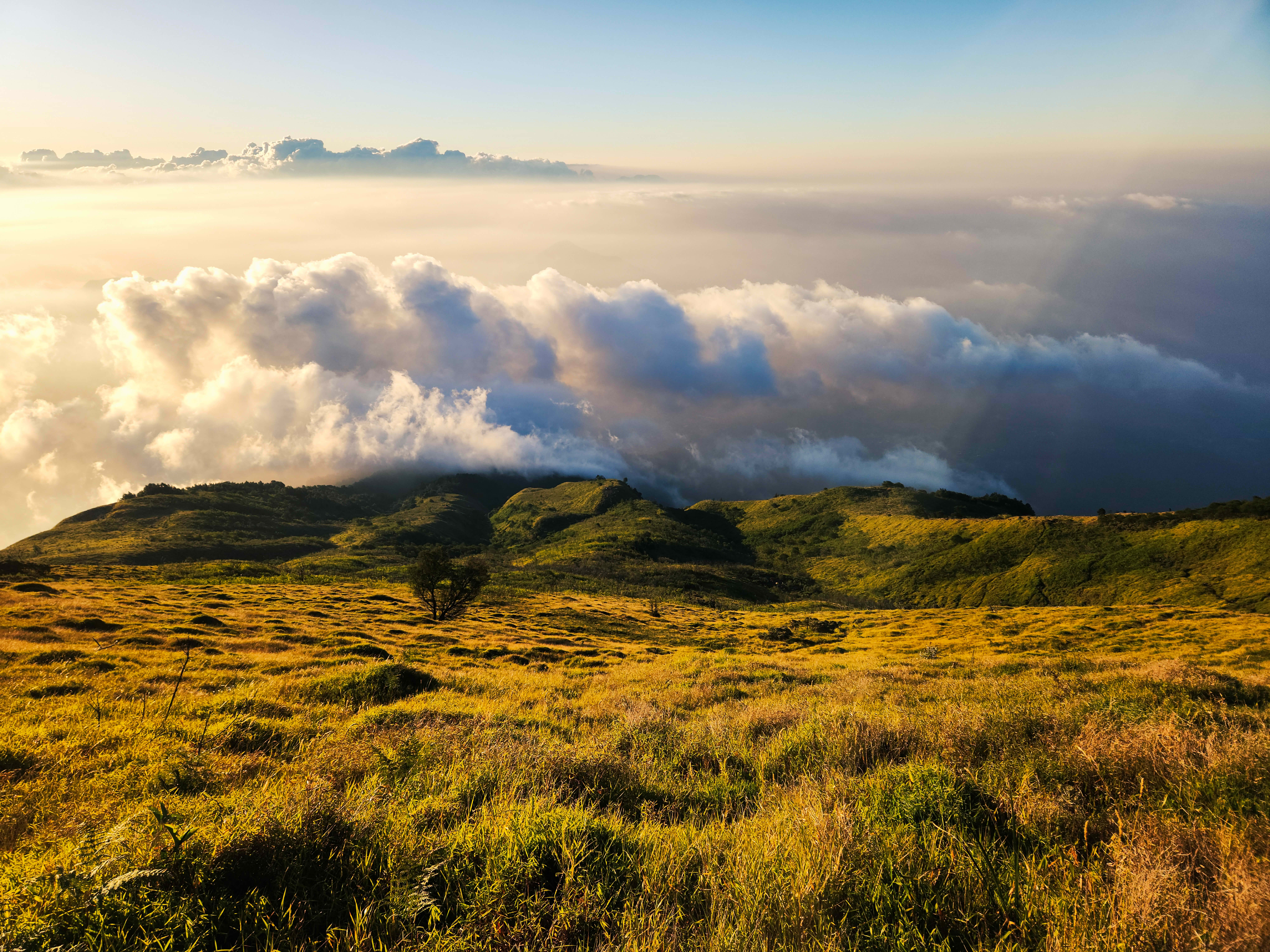 Mount Merbabu Savannah: Alpine Wilds & Signature Dining