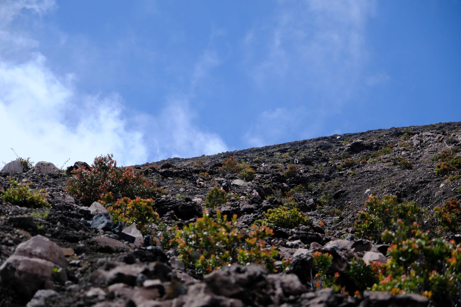 Mount Slamet Apex: The Roof of Java & Guci Hot Springs