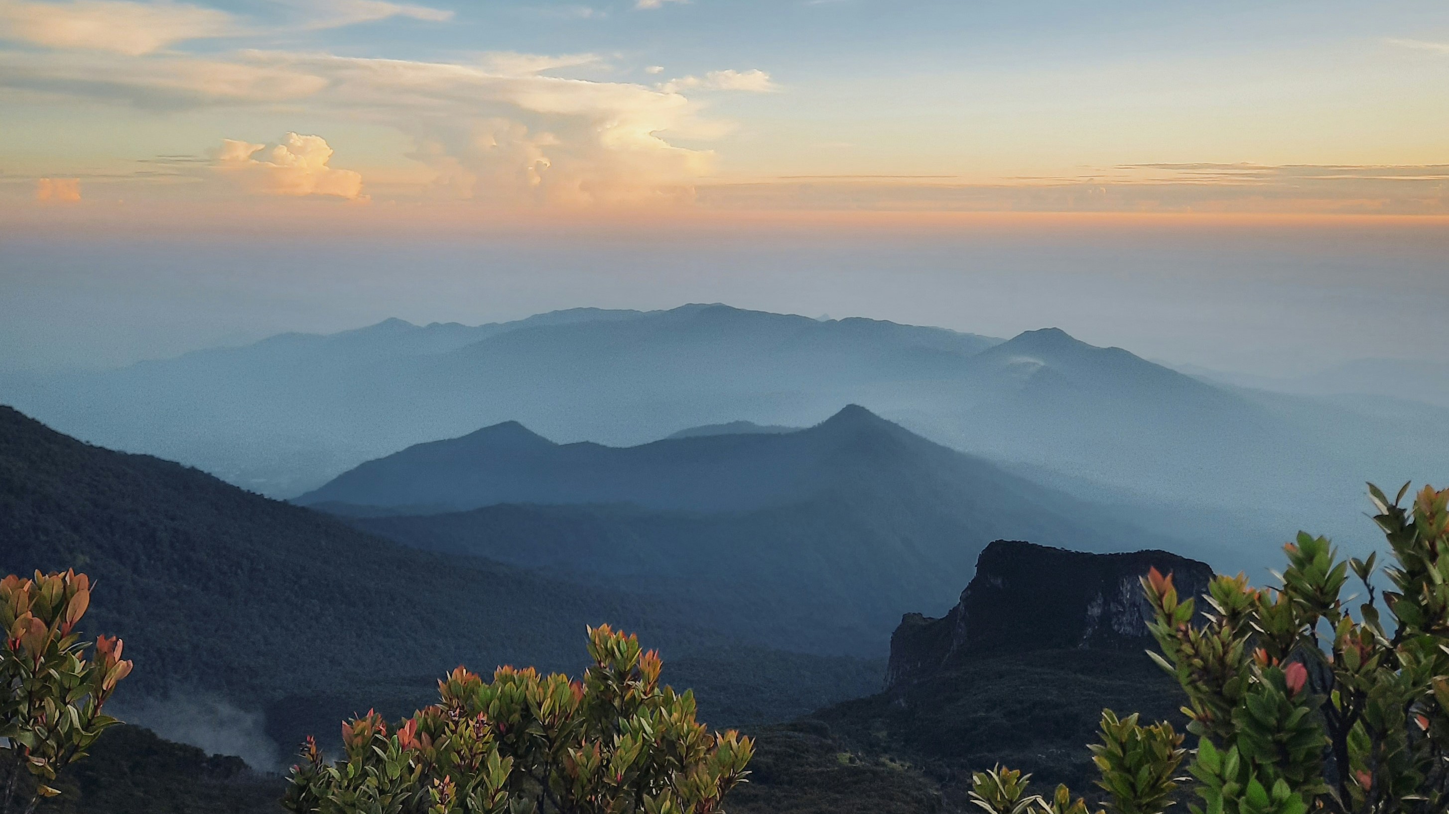 Mount Gede Trek: The Majestic Highland Journey