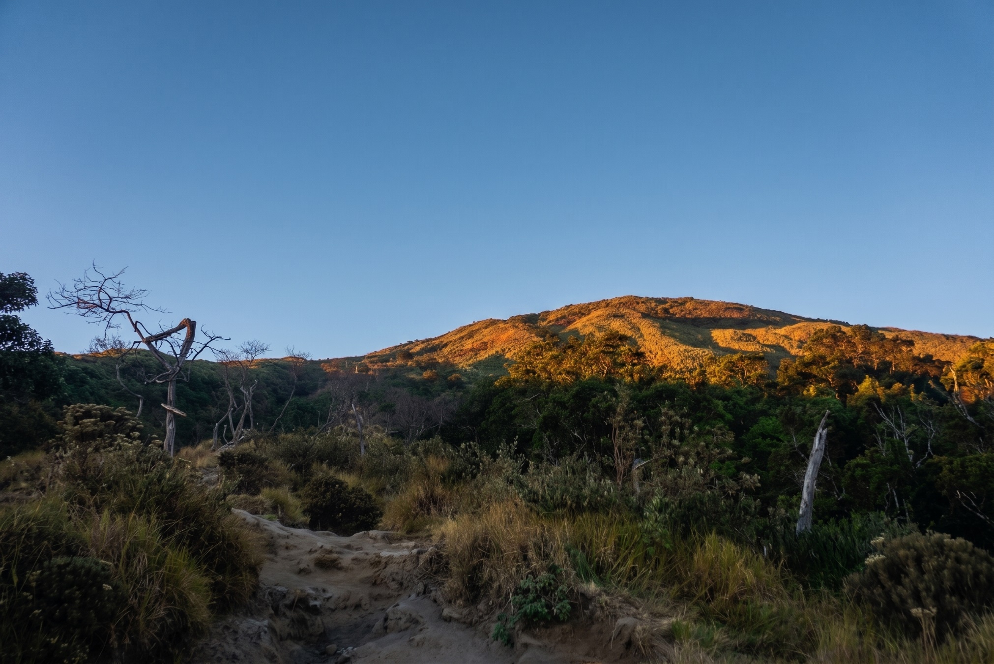 Mount Ciremai Heritage: West Java Peak & Natural Springs